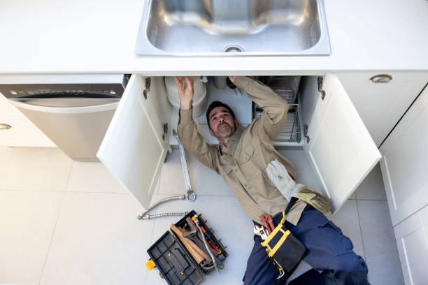 Best Plumbing Services Near Me  in Shelburn, IN