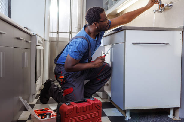 Best Same-Day Plumbing Service  in Shelburn, IN