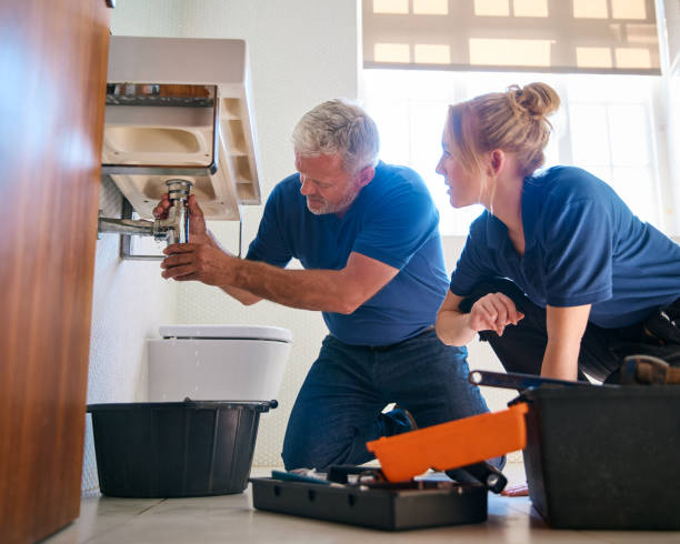 Best Clogged Drain Plumber  in Shelburn, IN